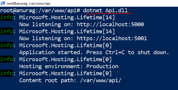 dotnet api.dll