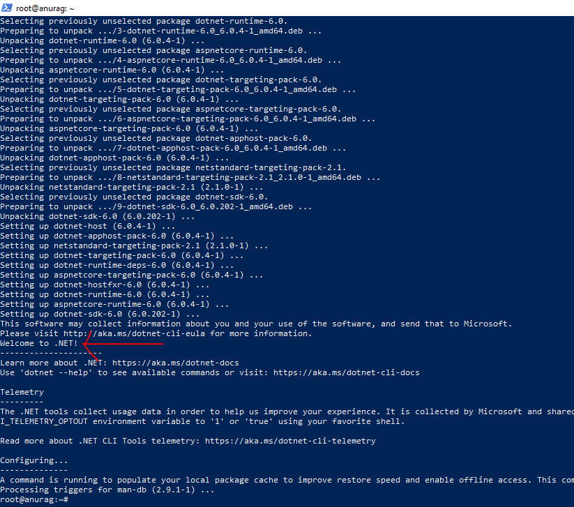 .net 6 sdk